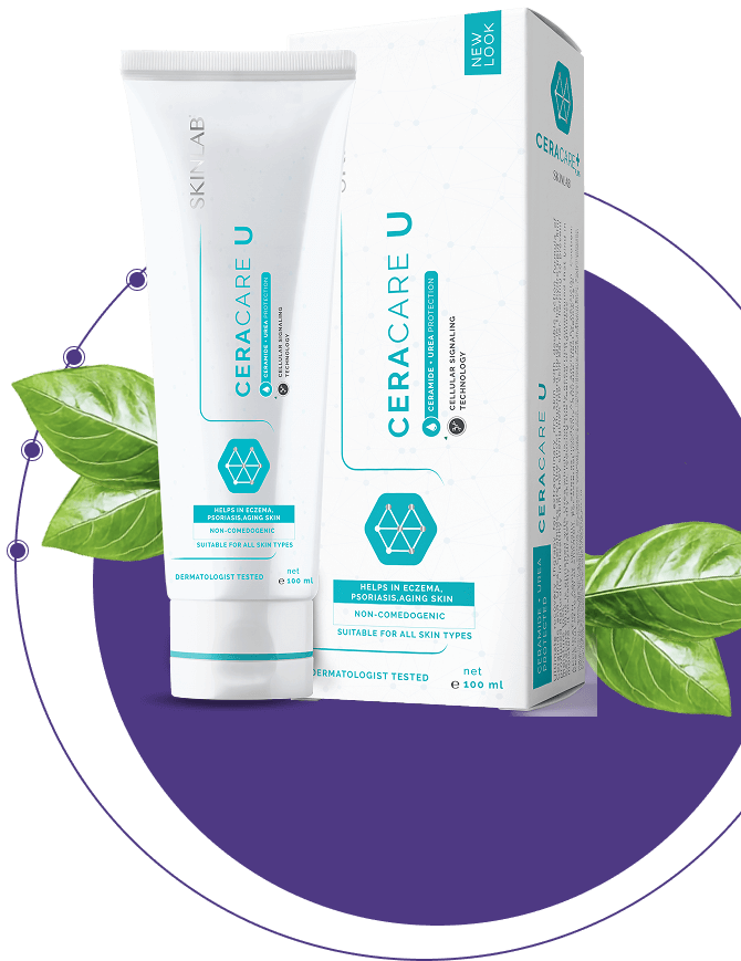 Buy face moisturizer for dry skin in UAE